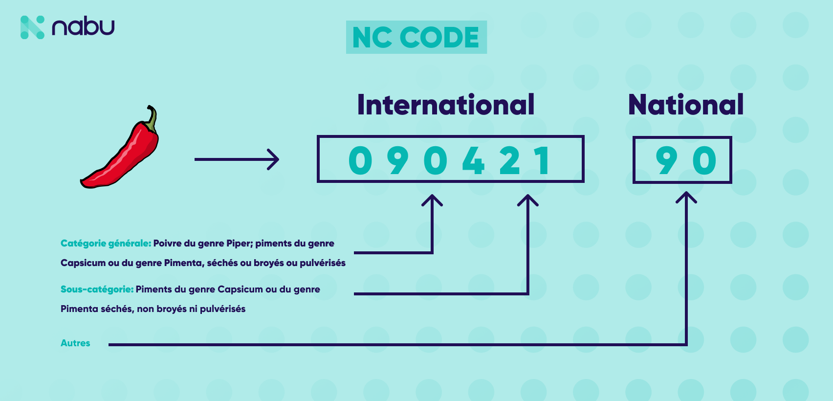 Les différences entre les codes douaniers HS, NC et TARIC Tout ce que